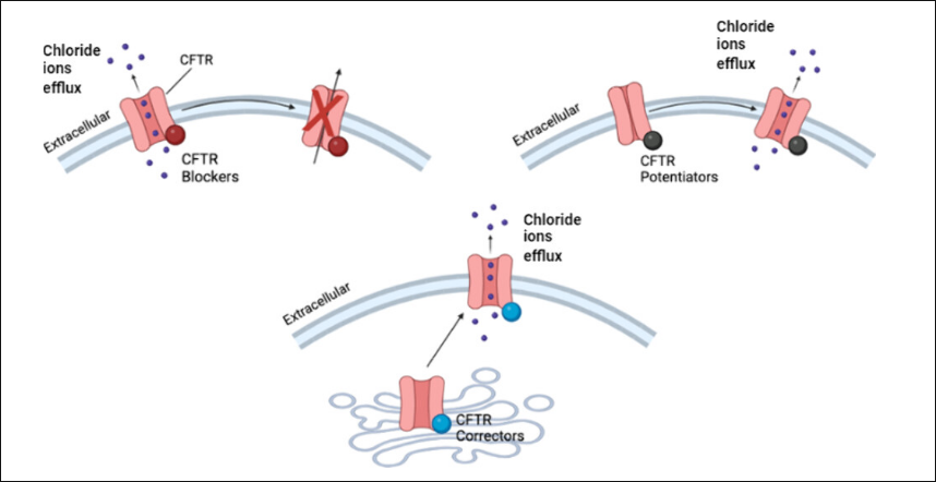 Potentiators in the cell