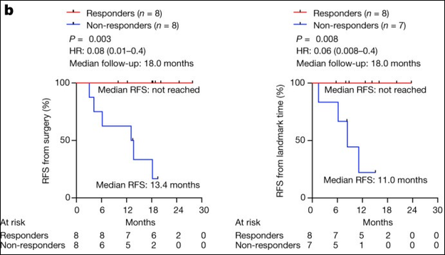 Results of the KEYNOTE-942 study