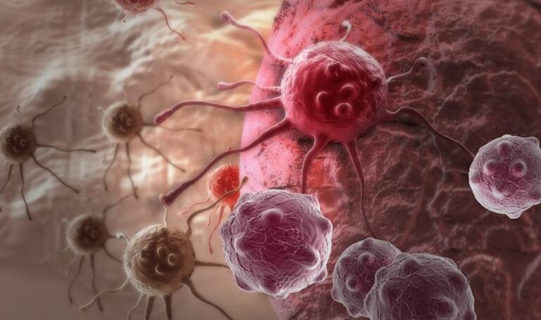 Young Scientists, Real Impact: How Students are Changing Women’s Health
